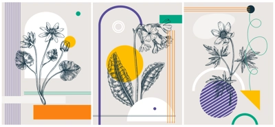 Collage-style spring flower vector illustration. Hand-sketched floral banner set. Trendy design with botanical elements and geometric shapes. Elegant wildflowers for sketch print, poster, and card